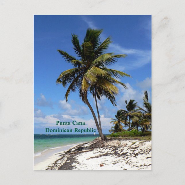 Punta Cana, Dominikanische Republik, Kokospalmen Feiertagspostkarte (Vorderseite)