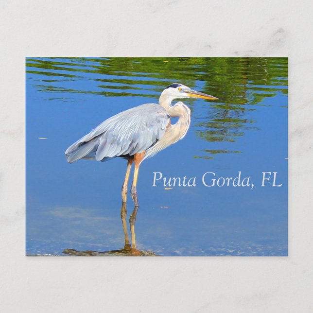 Punta Gorda, FL Postkarte (Vorderseite)