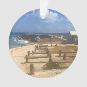 Punta Sur, Isla Mujeres, Mexique #3 Ornement