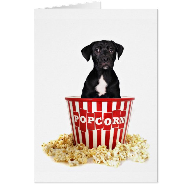 Pup-Corn jemand? (Vorne)
