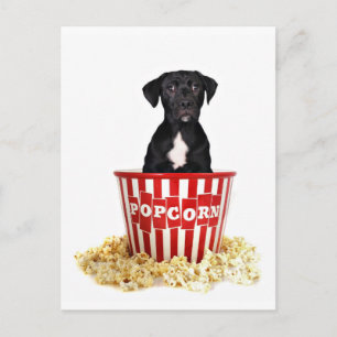 Pup-Corn jemand? Postkarte