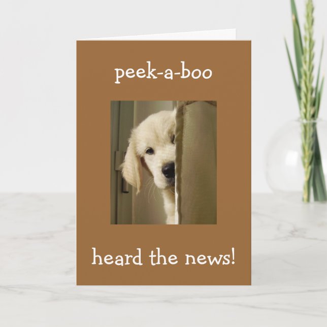 PUP ERKLÄRT "FLÜCHTIGE BLICK-A-BOO" ADOPTION KARTE (Vorderseite)