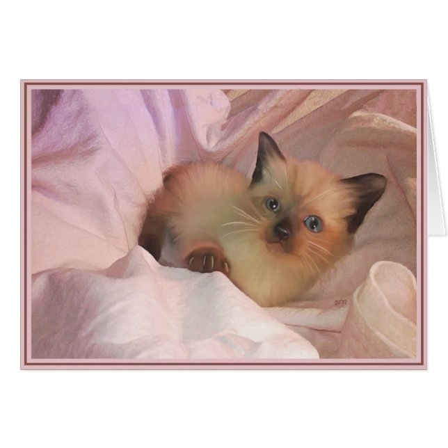 PUP-Kätzchen 12 (Vorderseite (Horizontal))