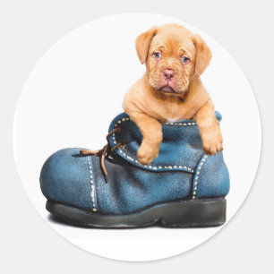 Pup 'n Boots Runder Aufkleber