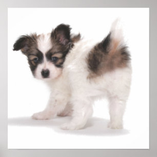 PUP SUCHT ÜBER SHOULDER POSTER