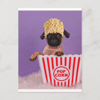 Pupcorn jemand? postkarte