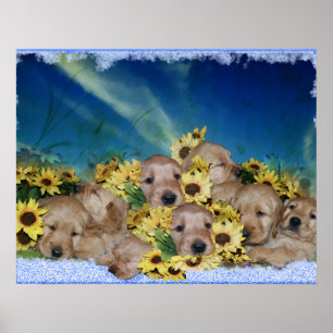 PUPIES ET FLEURS - POSTER DE RÉCUPÉRATION EN OR
