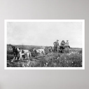 Pupmobile Zug Nome, Alaska 1906 Poster