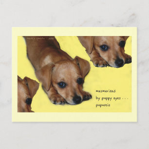 Pupnosis Haiku Art Postcard - Collectious Postcard Postkarte
