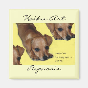 Pupnosis Haiku-Kunst-Magnet Magnet
