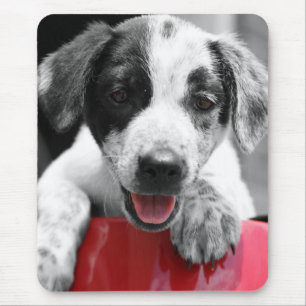 Pupp Mousepad