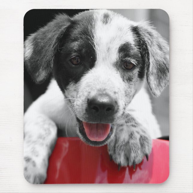 Pupp Mousepad (Vorne)