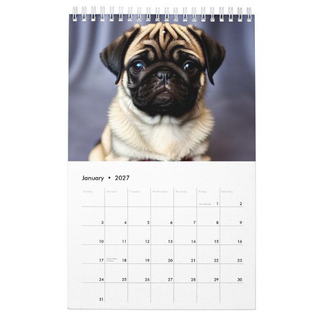 Puppen-Kalender 2025 Kalender (Jan 2027)