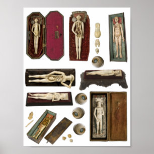 Puppen zur Darstellung der menschlichen Anatomie K Poster