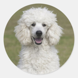 Puppenhund Runder Aufkleber