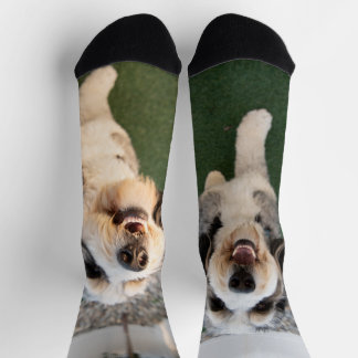 Pupper Socks Socken