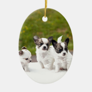 puppies-453532.jpg keramik ornament