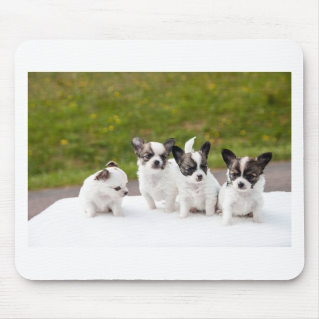 puppies-453532.jpg mousepad (Vorne)