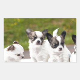 puppies-453532.jpg rechteckiger aufkleber