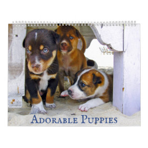 Puppies adorables Personnalisé 2022 Calendrier