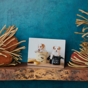 Puppies Art Deco Plaque Fotoplatte