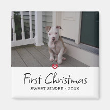 Puppies First Christmas Photo