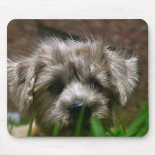 Pupppy Mausunterlage Mousepad