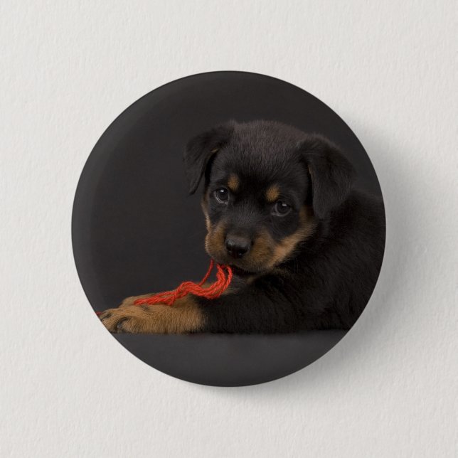 Puppy 5 button (Vorderseite)