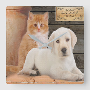 puppy and kitten quadratische wanduhr