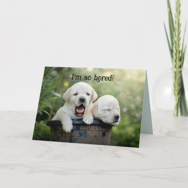 PUPPY BOREDOM DENKEN SIE KARTE (Vorderseite)