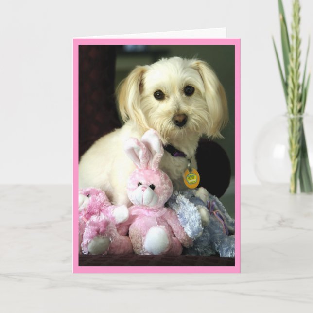 Puppy Bunny Osterkarte Feiertagskarte (Vorderseite)