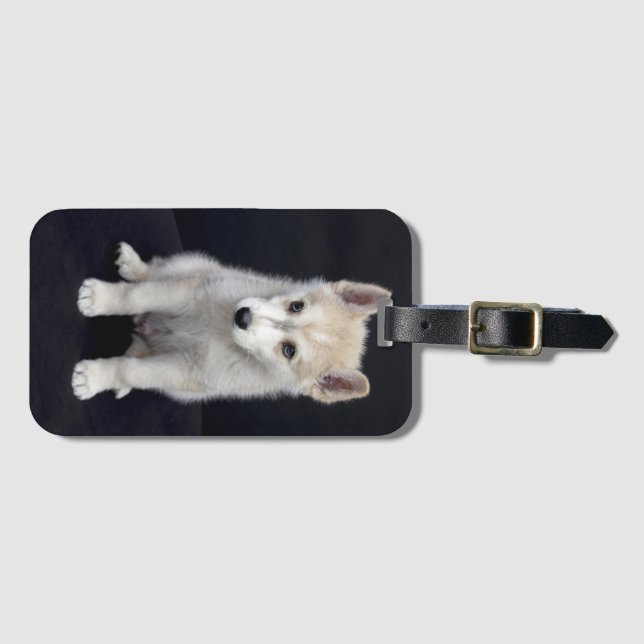 Puppy Dog Gepäckanhänger (Vorderseite (Horizontal))
