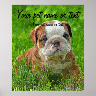Puppy English Bulldog auf der Wiese Poster