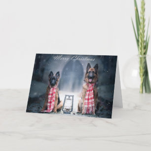 Puppy et berger allemand adulte carte de Noël