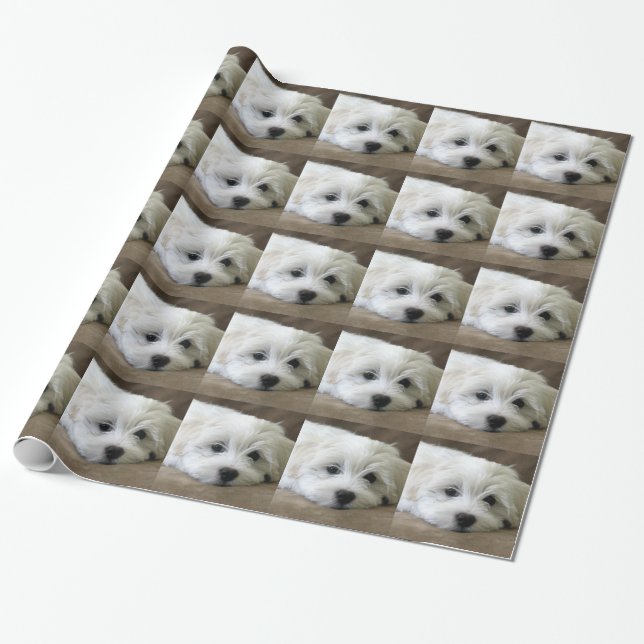 Puppy Eyes Geschenkpapier (Ungerollt)