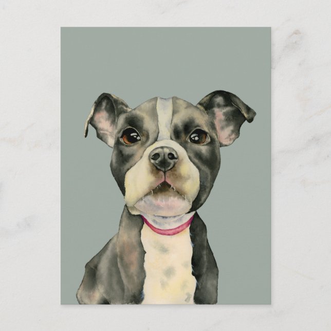 "Puppy Eyes" Pit Bull Dog Aquarellmalerei Postkarte (Vorderseite)