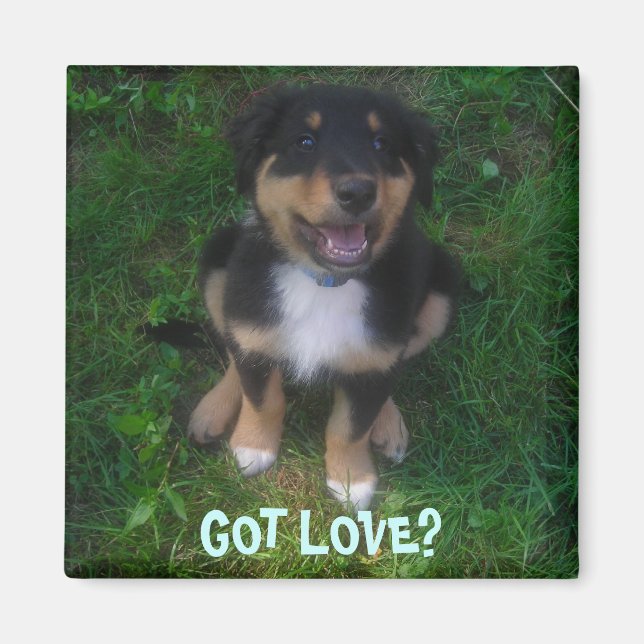 PUPPY, GOT LIEBE? MAGNET (Vorne)