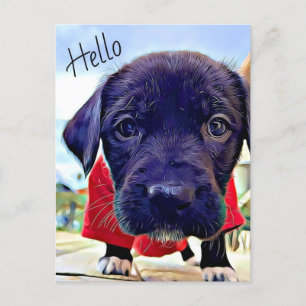 Puppy Hello Postkarte