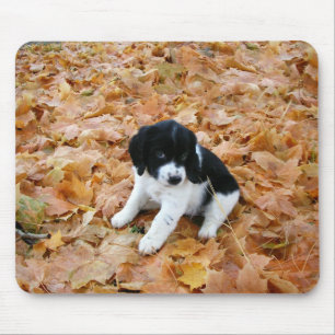 Puppy im Herbst Mousepad