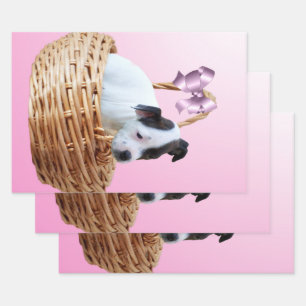 Puppy in einem Korb, Geschenkpapier Set