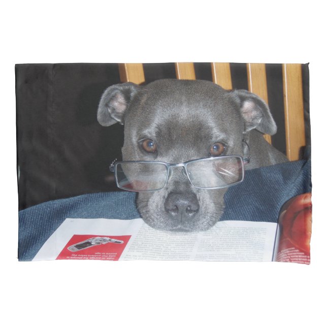 Puppy lesen kissenbezug (Vorderseite)