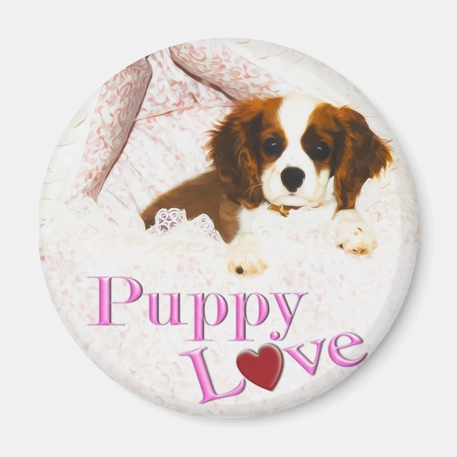 Puppy Liebe Cavalier King Charles Spaniel Magnet (Vorne)