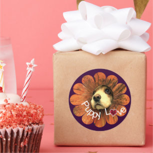 Puppy-Liebe-Peeking aus einer Blume Runder Aufkleber