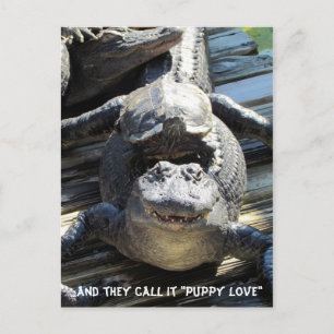 "Puppy Love" - Carte postale Gator / Alligator
