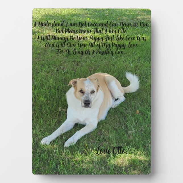 Puppy Love Fotoplatte (Vorderseite)
