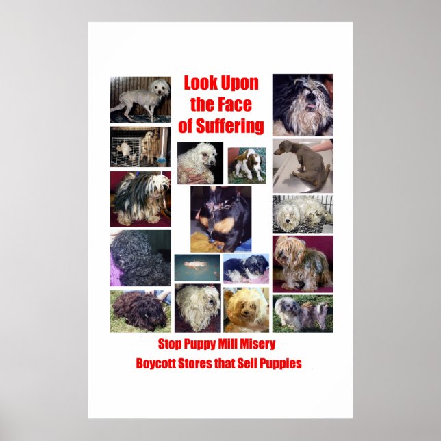 Puppy Mills Breed Misery Poster (Vorne)