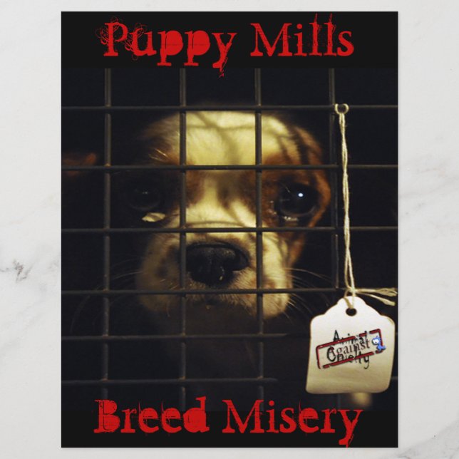 Puppy Mills Flyer (Vorne)