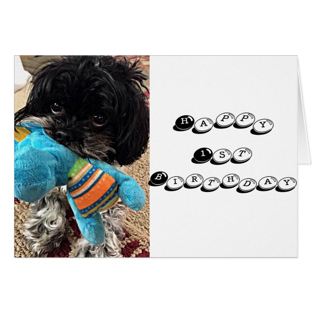 PUPPY MIT TOY SAGT, DASS SIE ZURÜCKGEHEN ****1**** (Vorderseite (Horizontal))