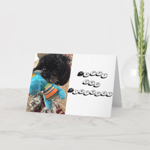 PUPPY MIT TOY SAGT, SIE WERDEN ****2**** KARTE