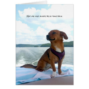 Puppy on Boat Wind at Back Sentiments